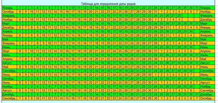 Узнать точный срок зачатия