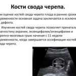 Вероятность беременности после чистки
