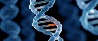 Мутация генов