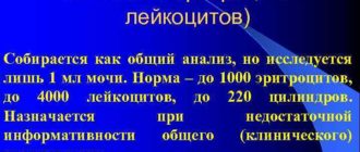 Высокие эритроциты, Нечипоренко