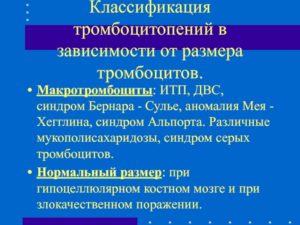 Диагноз Синдром серых тромбоцитов под вопросом? ИТП?