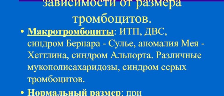 Диагноз Синдром серых тромбоцитов под вопросом? ИТП?