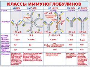 Высокий IgG на отдельные продукты питания при отсутствии IgE