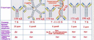 Высокий IgG на отдельные продукты питания при отсутствии IgE