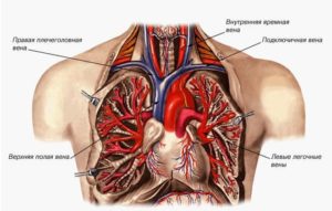 Вена под правой грудью