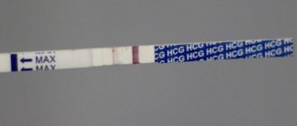 Думала что беременная но начались месячные