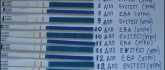 Возможная беременность после переноса