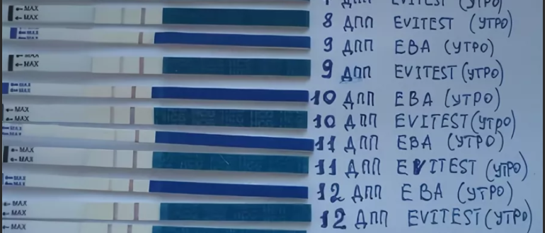 Возможная беременность после переноса