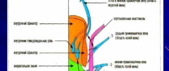 Венозный дренаж