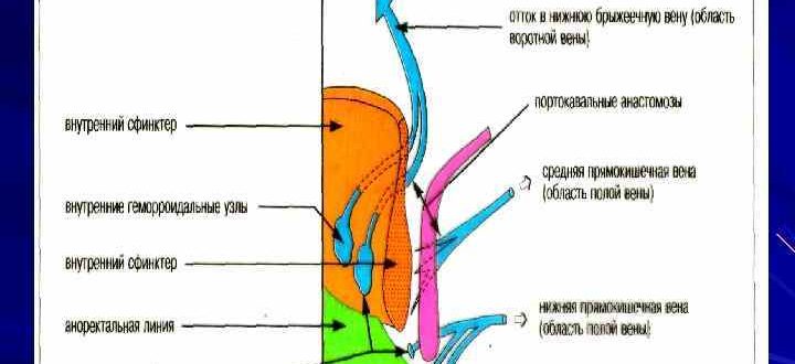 Венозный дренаж