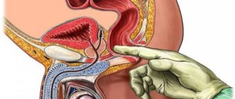 Может ли не быть простаты у мужчины?