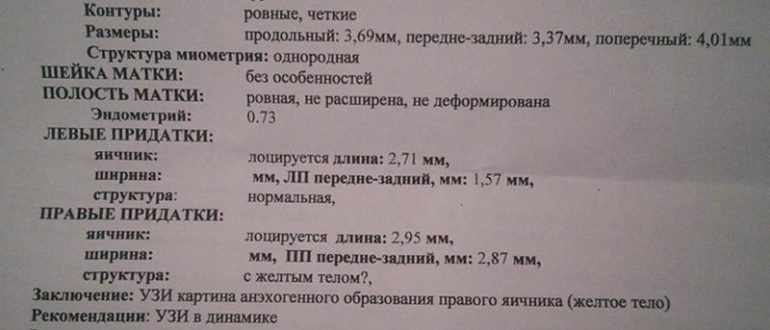 Узи результаты расшифровка