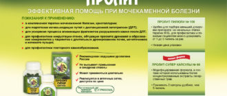 Можно ли начать прием цистона после пролита