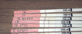 Дюфастон на отмене овуляция