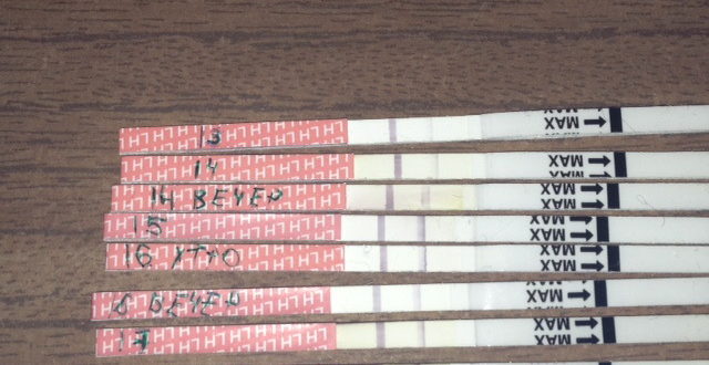 Дюфастон на отмене овуляция