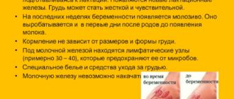 Молозиво 15-16 недель