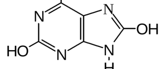 Мочевая кислота