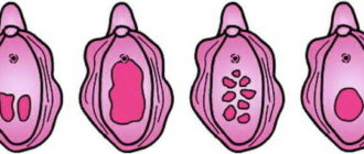 Могла ли я забеременеть от петтинга я девственница