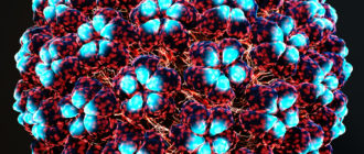 Вирус папилломы