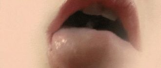 Водил членом по половым губам не кончал