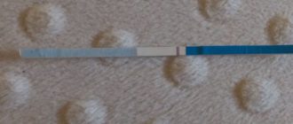 Менструация после Дюфастона