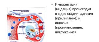 На какой день происходит имплантация