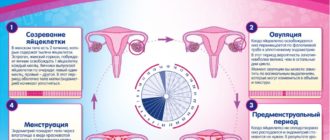 Менструация три раза подряд