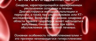 Длительная Гепатоспленомегалия