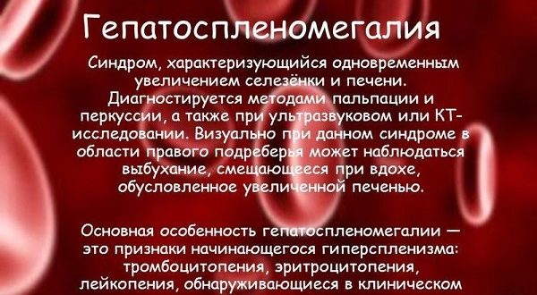 Длительная Гепатоспленомегалия