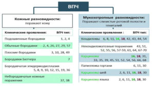 Впч 31 и 52 типа