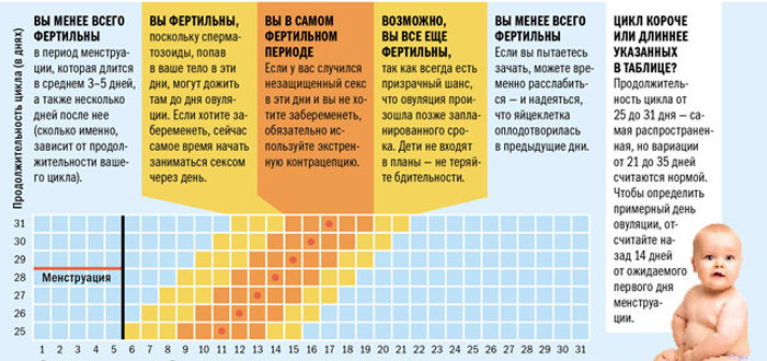 Вероятность забеременеть на 10 день после месячных