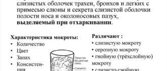 Мокрота на фоне приема антибиотиков