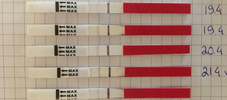 Влияет ли количество выпитой жидкости на тест