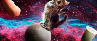 Что происходит в голове?