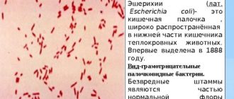 В мазке из глаз обнаружена Escherichia coli. Насколько это серьёзно?