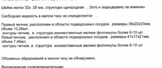 УЗИ на 23 день цикла