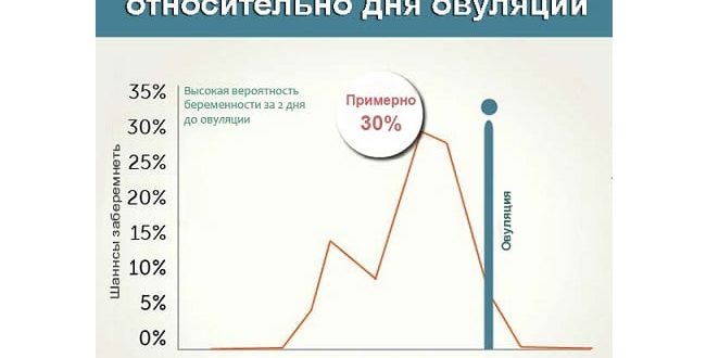 Вероятность беременности, отсутствие предэякулята