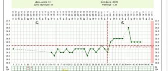 Могу ли забеременеть на 20 день цыкла?
