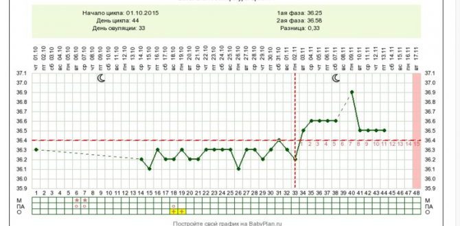 Могу ли забеременеть на 20 день цыкла?