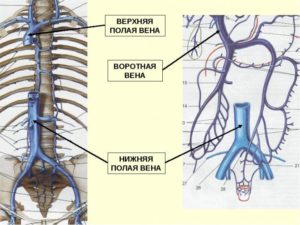 Впалая вена