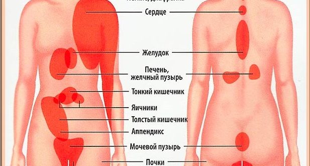 Что то в левом боку