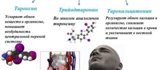 Влияет ли Конкор на выработку гормонов щитовидной железы.?