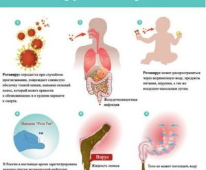 Влияние ротовируса на почки