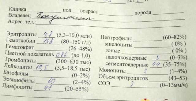 Влияние редуксина на анализ крови