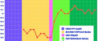 Месячные и базальная температура