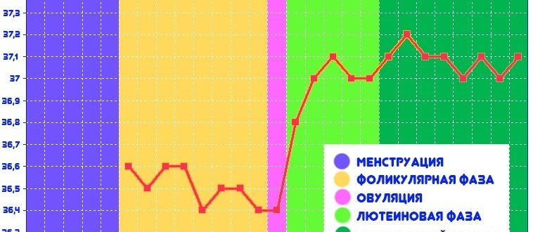 Месячные и базальная температура