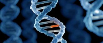 Мутация в гене