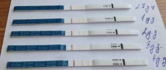 Возможна ли беременность, задержка 4 дня