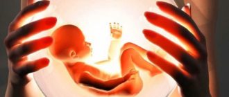 Донорство яйцеклетки и беременность