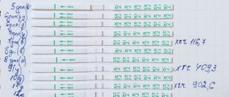 Динамика Хгч после переноса